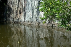 Cedar Creek Falls