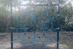 Spiders-Web