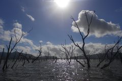 Lake Proserpine